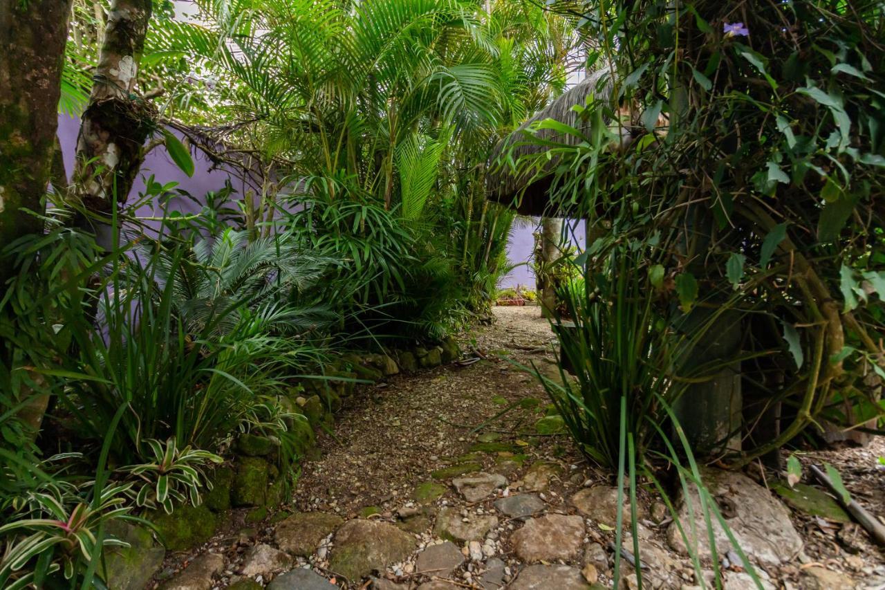 O Paraiso Em Peruibe Casa Para Ate 25 Pessoas Εξωτερικό φωτογραφία
